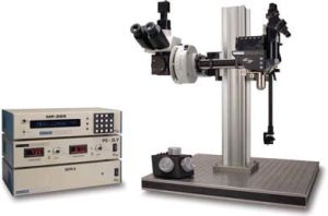 Sutter Instrument MOM thophoton microscope